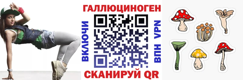 Псилоцибиновые грибы Cubensis  Байкальск 